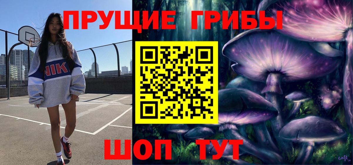 Псилоцибиновые грибы Psilocybine cubensis  Псилоцибиновые грибы прущие грибы  Вход с VPN  Волгодонск 
